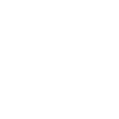 12-transport-rail