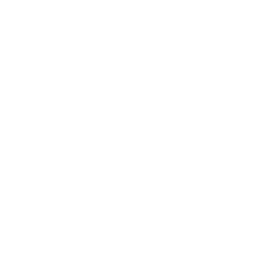17-automotive-motorsport